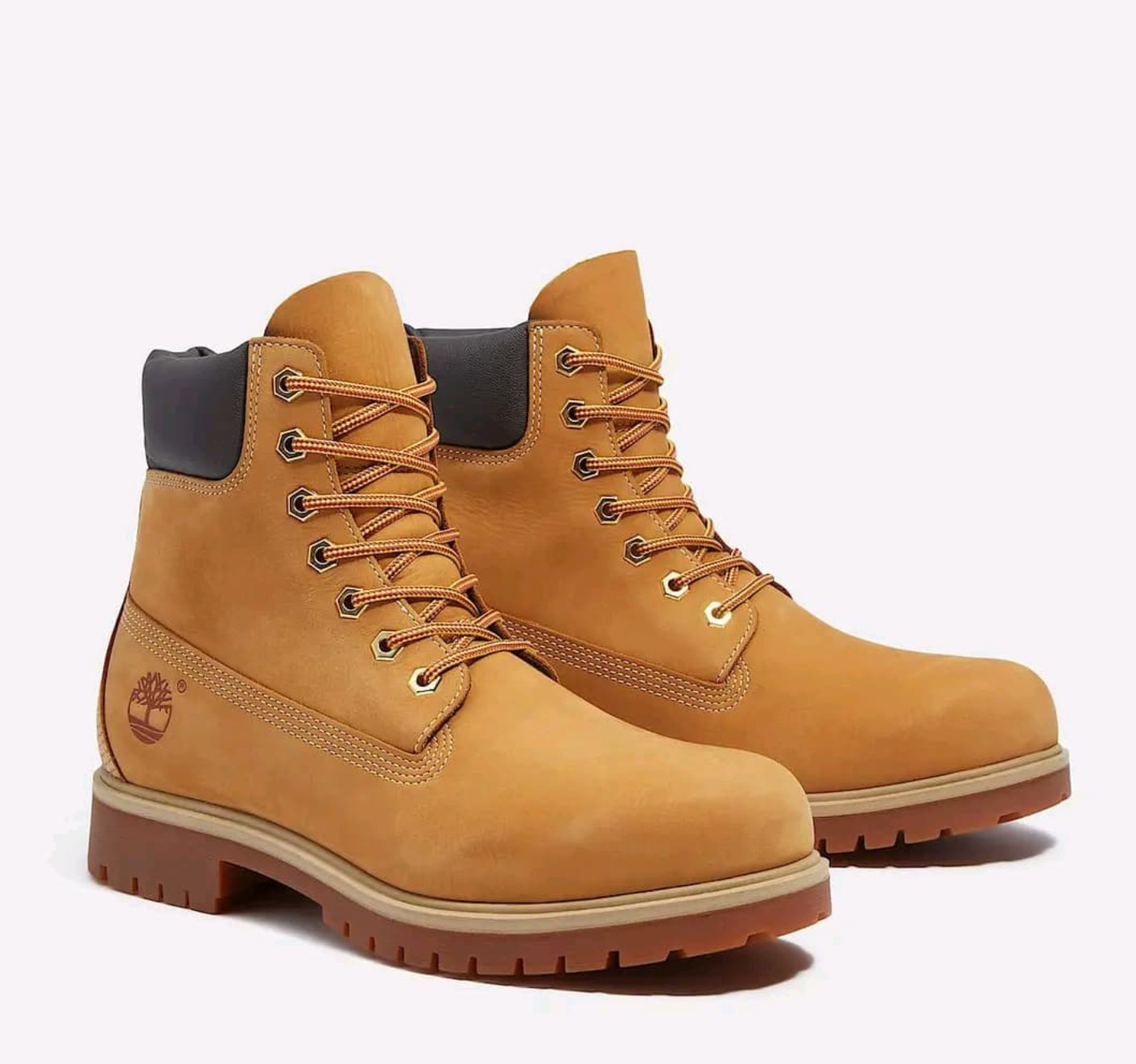 Men's Timberland® Premium 6-Inch Waterproof Boot