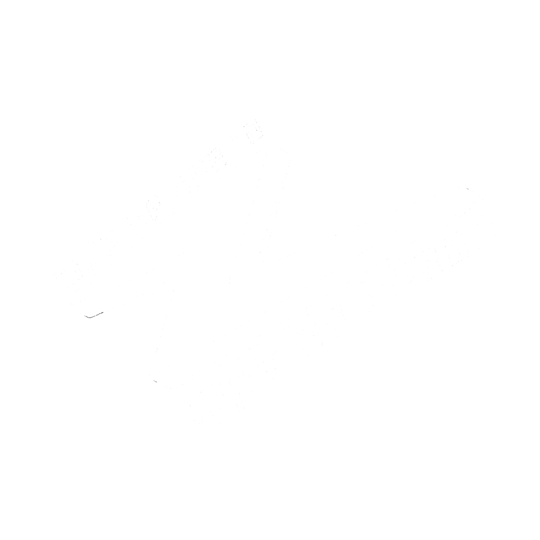King of Speed Logo